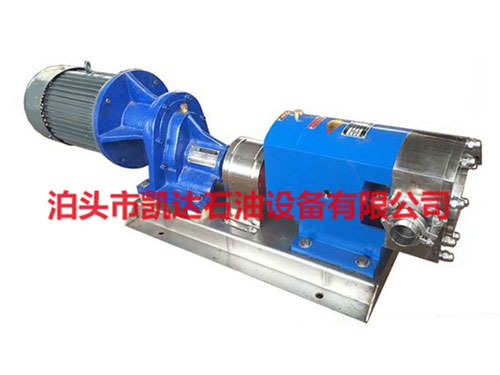 上海3-2RP凸轮转子泵